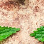 5 Herbal Hair Rinses for Natural Hair Growth, Shine & Conditioning