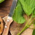 10 Natural Remedies for Eczema: The Best thing for Dry Skin in your own Home