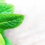 Plastic-Free Products: 7 Easy Eco-Friendly Swaps that will make an Impact