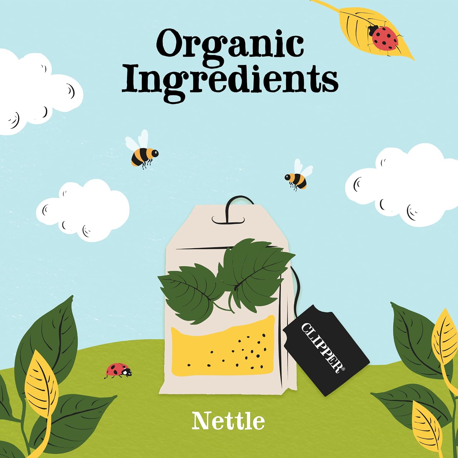 organic Nettle leaf tea